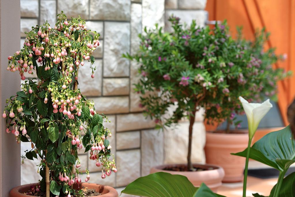 Apartments Melita ビビニェ 部屋 写真